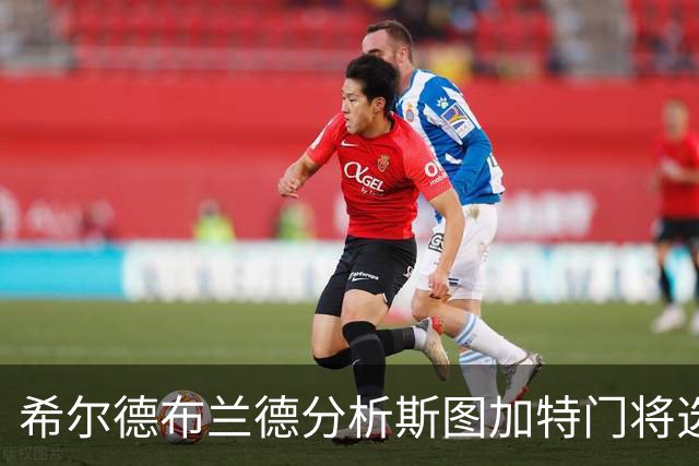 希尔德布兰德分析斯图加特门将选拔：首选丹尼斯-赛门坐镇